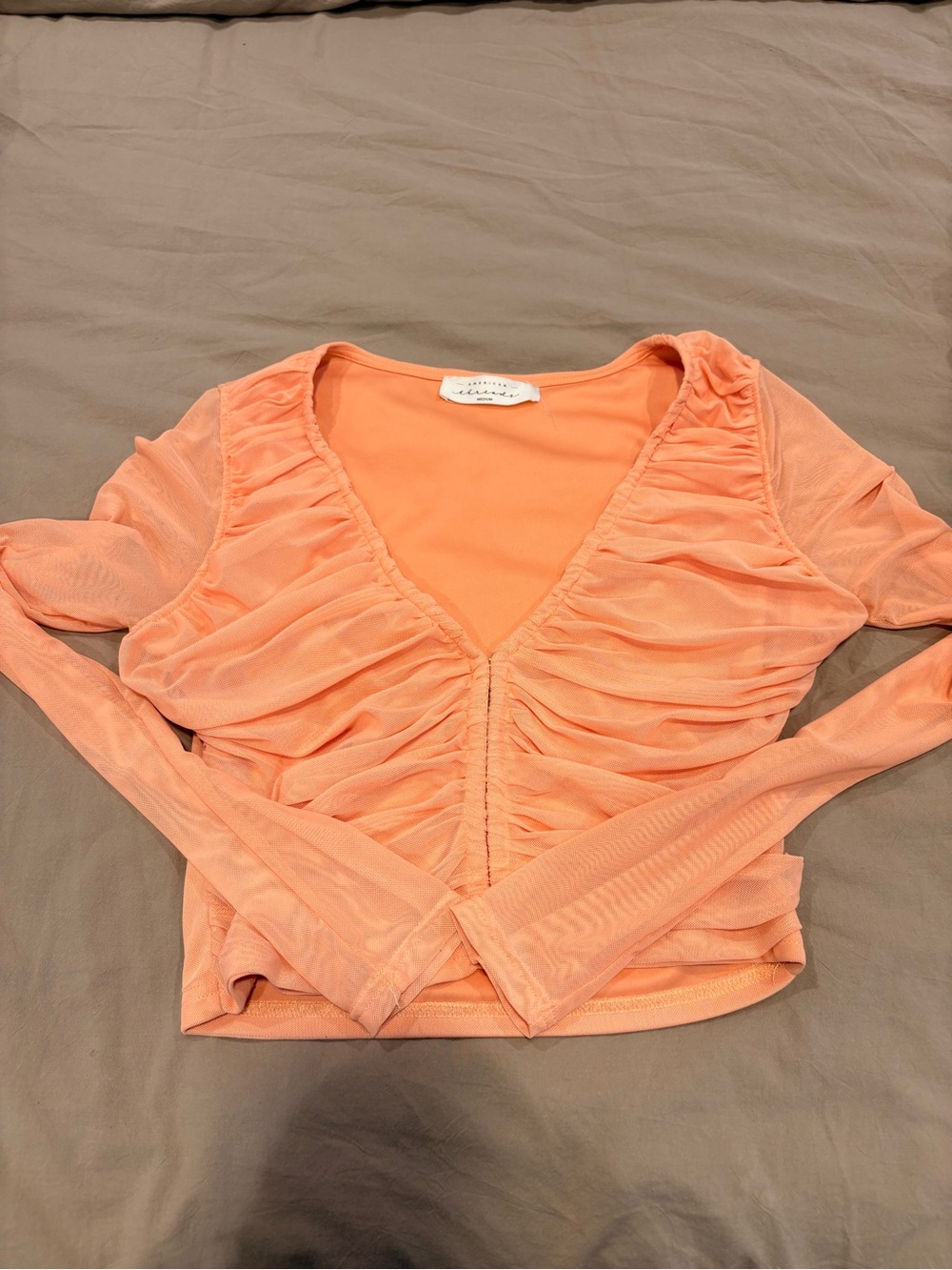 American Threads Peach Ruched Mesh V-Neck Long Sleeve Top